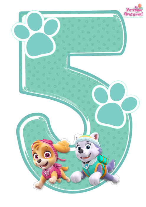 paw patrol birthday number 5 printable with sky and everest