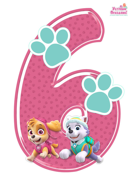 paw patrol birthday number 6 printable with sky and everest