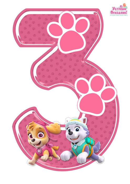 paw patrol birthday number 3 printable with sky and everest