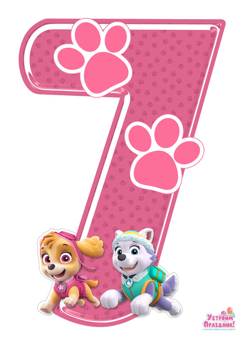 paw patrol birthday number 7 printable with sky and everest